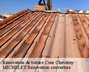 Rénovation de toiture cour-cheverny-41700 Entreprise de Couverture et Reparation 41