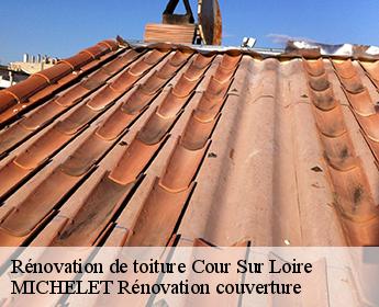 Rénovation de toiture  cour-sur-loire-41500 Entreprise de Couverture et Reparation 41