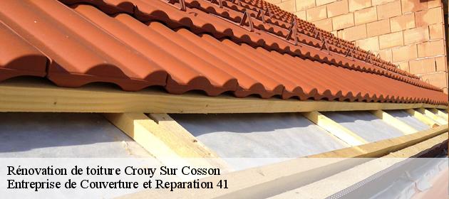 Rénovation de toiture  crouy-sur-cosson-41220 Entreprise de Couverture et Reparation 41