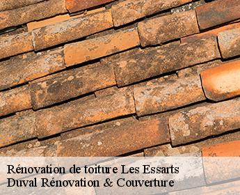 Rénovation de toiture  les-essarts-41800 Duval Rénovation & Couverture