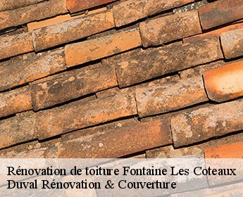 Rénovation de toiture  fontaine-les-coteaux-41800 Duval Rénovation & Couverture