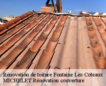 Rénovation de toiture fontaine-les-coteaux-41800 Entreprise de Couverture et Reparation 41