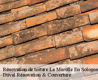 Rénovation de toiture la-marolle-en-sologne-41210 Duval Rénovation & Couverture
