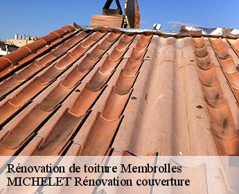 Rénovation de toiture membrolles-41240 Entreprise de Couverture et Reparation 41