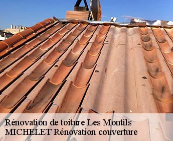 Rénovation de toiture  les-montils-41120 Entreprise de Couverture et Reparation 41