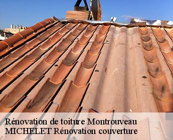 Rénovation de toiture  montrouveau-41800 Entreprise de Couverture et Reparation 41