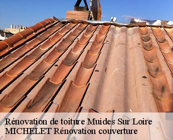 Rénovation de toiture  muides-sur-loire-41500 Entreprise de Couverture et Reparation 41