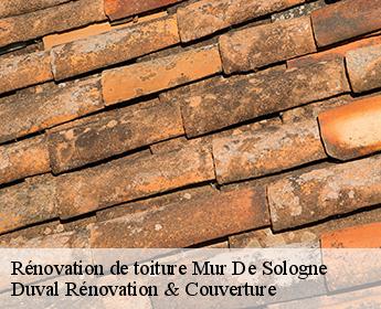 Rénovation de toiture  mur-de-sologne-41230 Duval Rénovation & Couverture