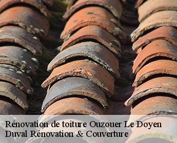 Rénovation de toiture 41160