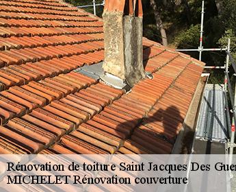 Rénovation de toiture  41800