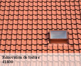 Rénovation de toiture 41800