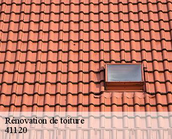 Rénovation de toiture  41120