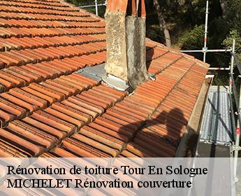 Rénovation de toiture 41250