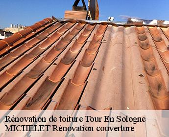 Rénovation de toiture tour-en-sologne-41250 Entreprise de Couverture et Reparation 41