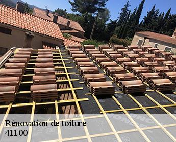 Rénovation de toiture 41100