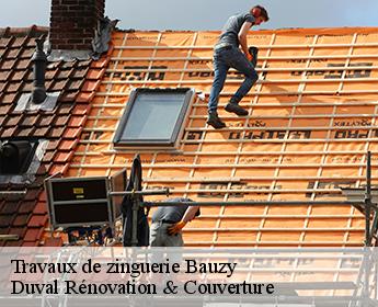 Travaux de zinguerie 41250