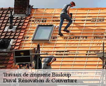 Travaux de zinguerie 41160