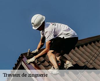 Travaux de zinguerie 41120