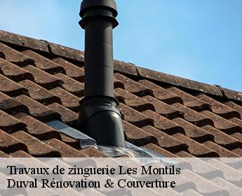 Travaux de zinguerie  les-montils-41120 Duval Rénovation & Couverture