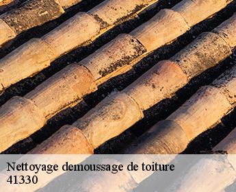 Nettoyage demoussage de toiture 41330