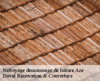 Nettoyage demoussage de toiture aze-41100 Duval Rénovation & Couverture