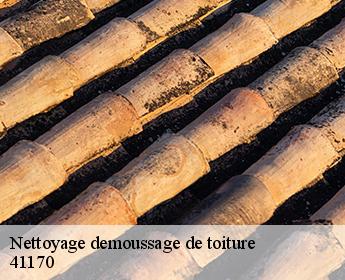 Nettoyage demoussage de toiture 41170