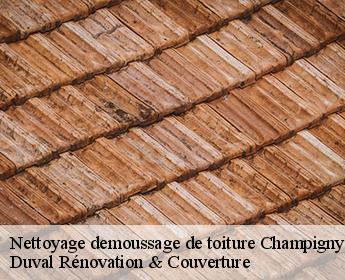 Nettoyage demoussage de toiture  champigny-en-beauce-41330 Duval Rénovation & Couverture