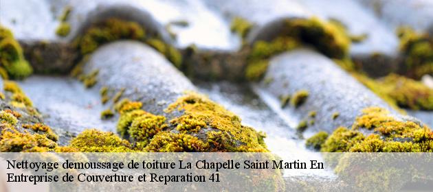 Nettoyage demoussage de toiture  la-chapelle-saint-martin-en-41500 Entreprise de Couverture et Reparation 41