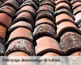 Nettoyage demoussage de toiture 41110