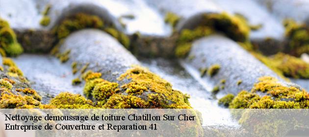 Nettoyage demoussage de toiture  chatillon-sur-cher-41130 Entreprise de Couverture et Reparation 41