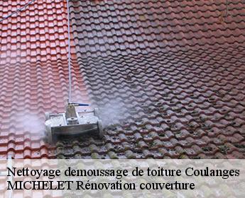 Nettoyage demoussage de toiture coulanges-41150 Entreprise de Couverture et Reparation 41