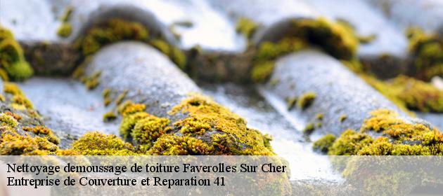 Nettoyage demoussage de toiture  faverolles-sur-cher-41400 Entreprise de Couverture et Reparation 41
