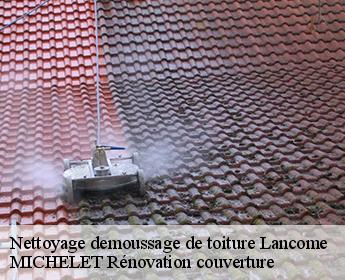 Nettoyage demoussage de toiture lancome-41190 MICHELET Rénovation couverture