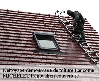 Nettoyage demoussage de toiture 41190