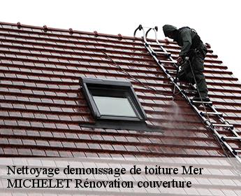 Nettoyage demoussage de toiture 41500
