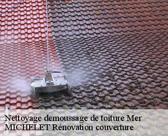 Nettoyage demoussage de toiture mer-41500 Entreprise de Couverture et Reparation 41