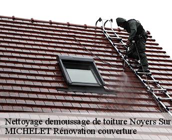 Nettoyage demoussage de toiture 41140