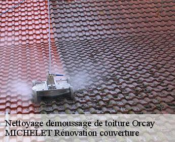Nettoyage demoussage de toiture orcay-41300 MICHELET Rénovation couverture