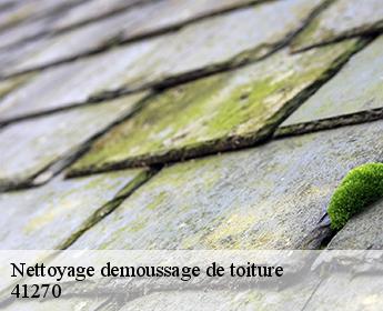 Nettoyage demoussage de toiture 41270