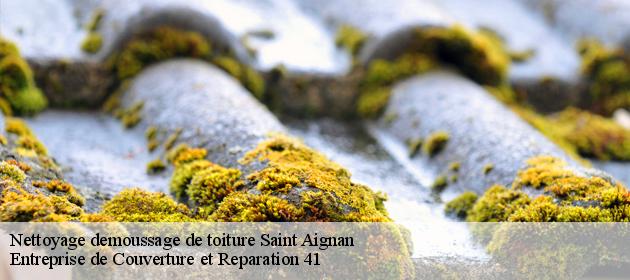 Nettoyage demoussage de toiture  saint-aignan-41110 Entreprise de Couverture et Reparation 41