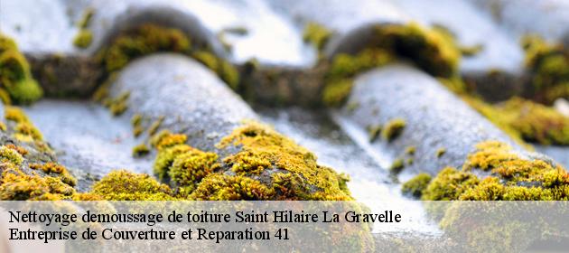 Nettoyage demoussage de toiture  saint-hilaire-la-gravelle-41160 Entreprise de Couverture et Reparation 41