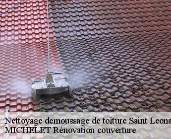 Nettoyage demoussage de toiture saint-leonard-en-beauce-41370 MICHELET Rénovation couverture