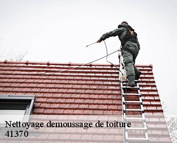 Nettoyage demoussage de toiture 41370