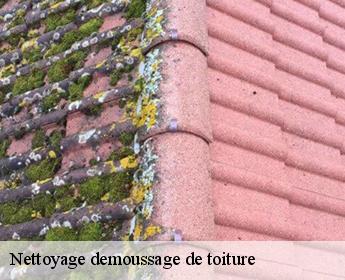 Nettoyage demoussage de toiture 41370