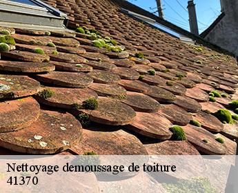 Nettoyage demoussage de toiture 41370