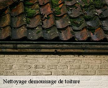 Nettoyage demoussage de toiture