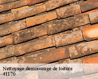 Nettoyage demoussage de toiture