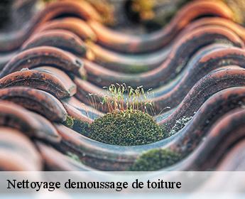 Nettoyage demoussage de toiture