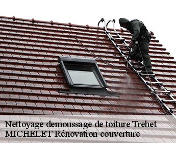 Nettoyage demoussage de toiture 41800