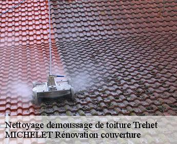 Nettoyage demoussage de toiture trehet-41800 Entreprise de Couverture et Reparation 41